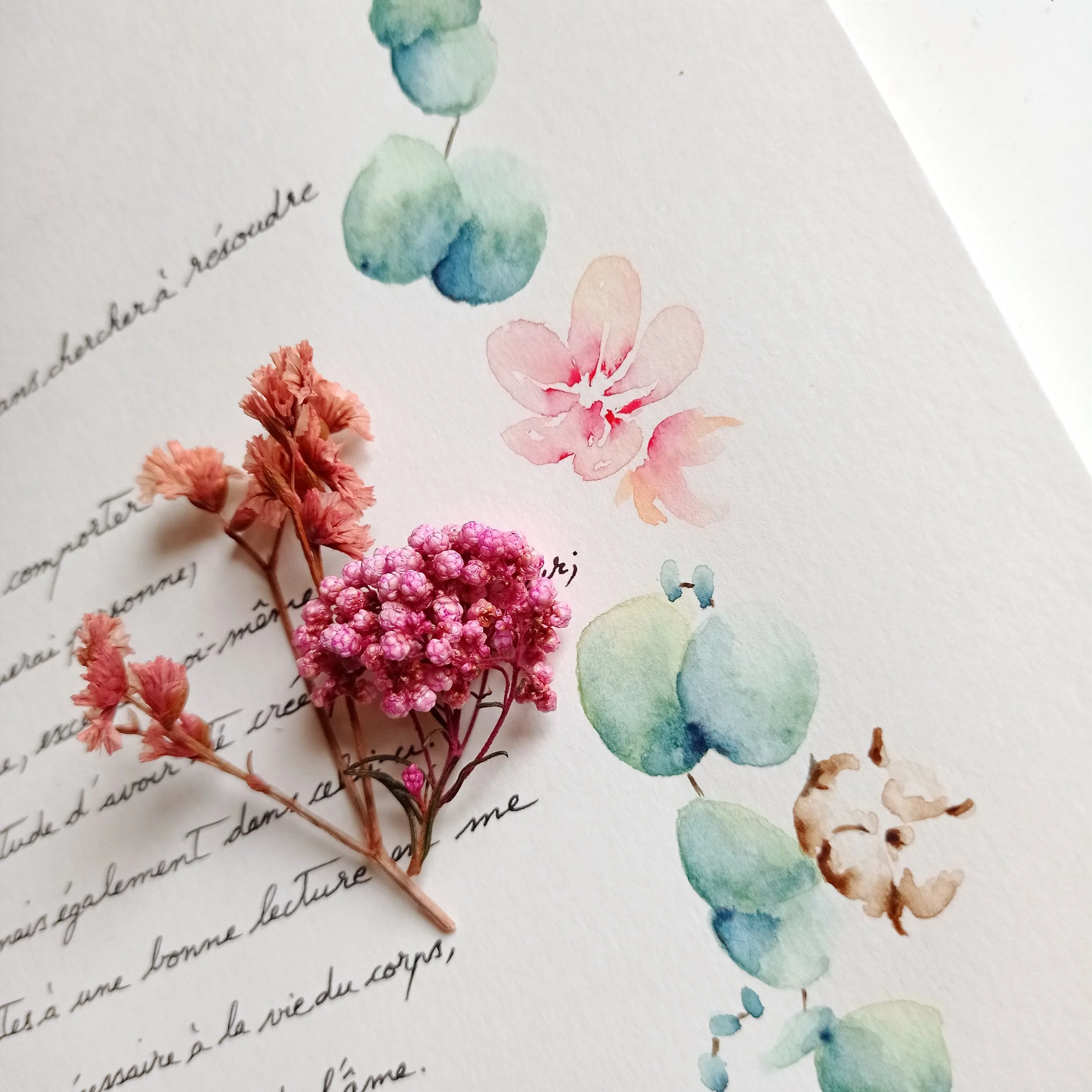 Fleurs séchées roses et aquarelles botaniques de fleurs bleues et roses sur une page manuscrite.