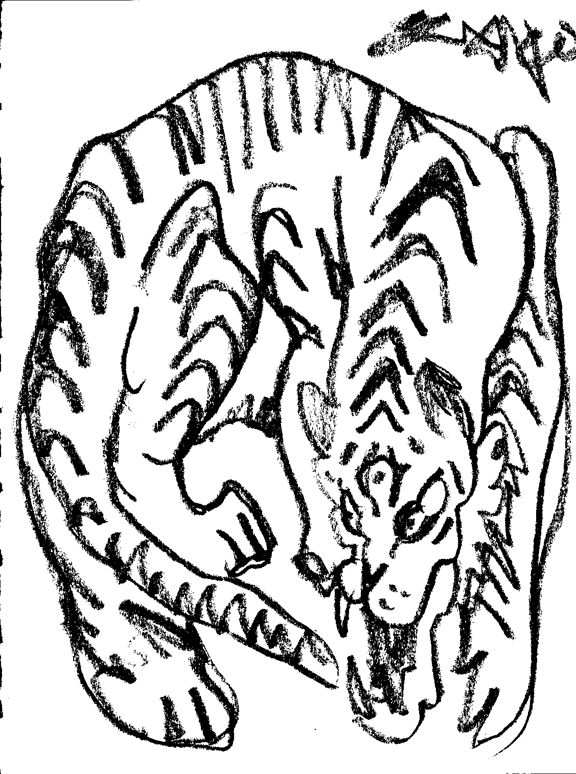 Document_20261024_0006.png