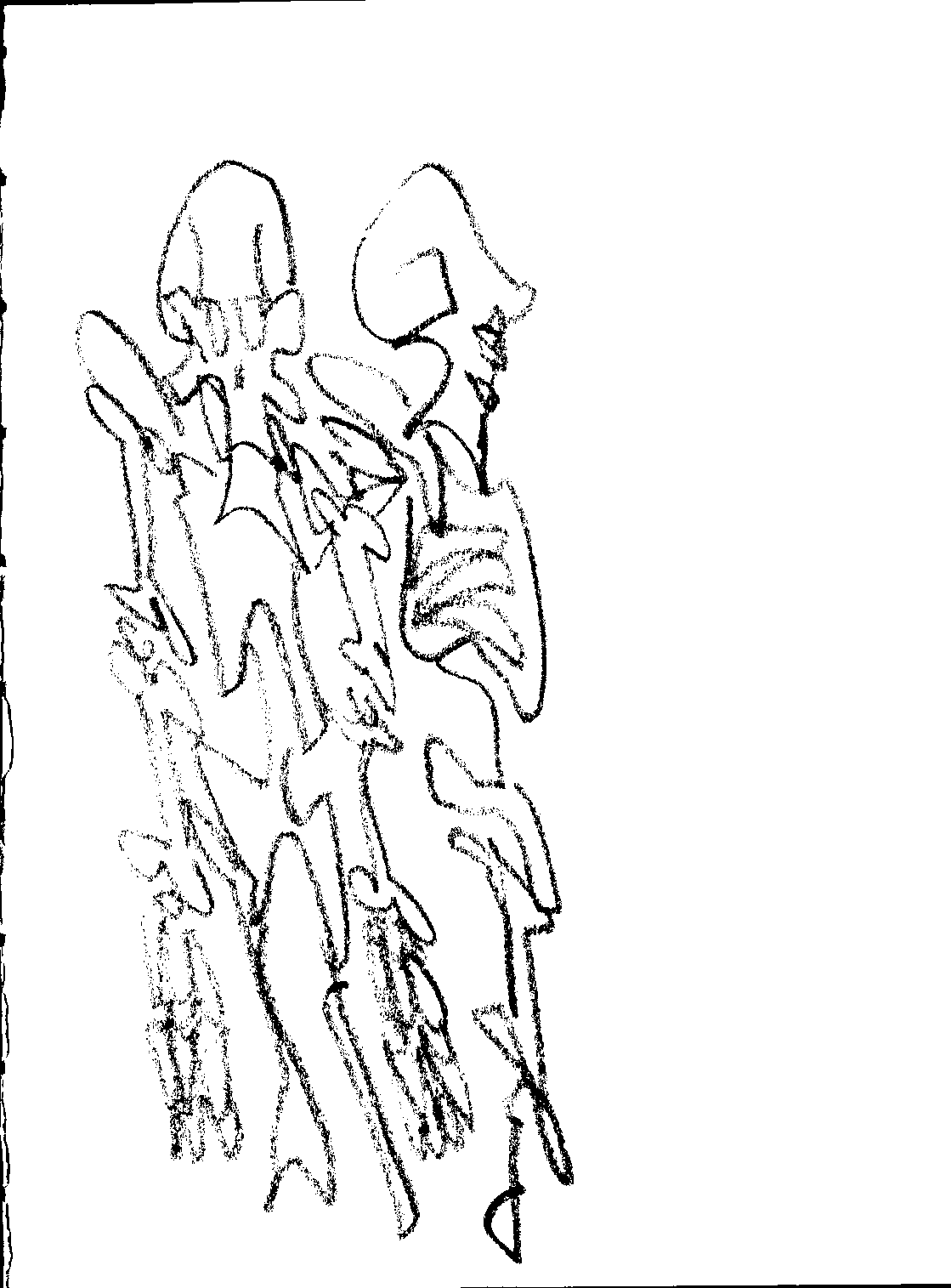 Document_20261024_0015.png