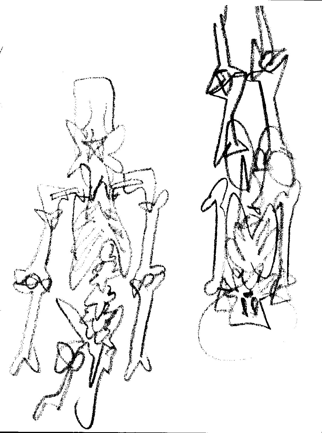 Document_20261024_0014.png