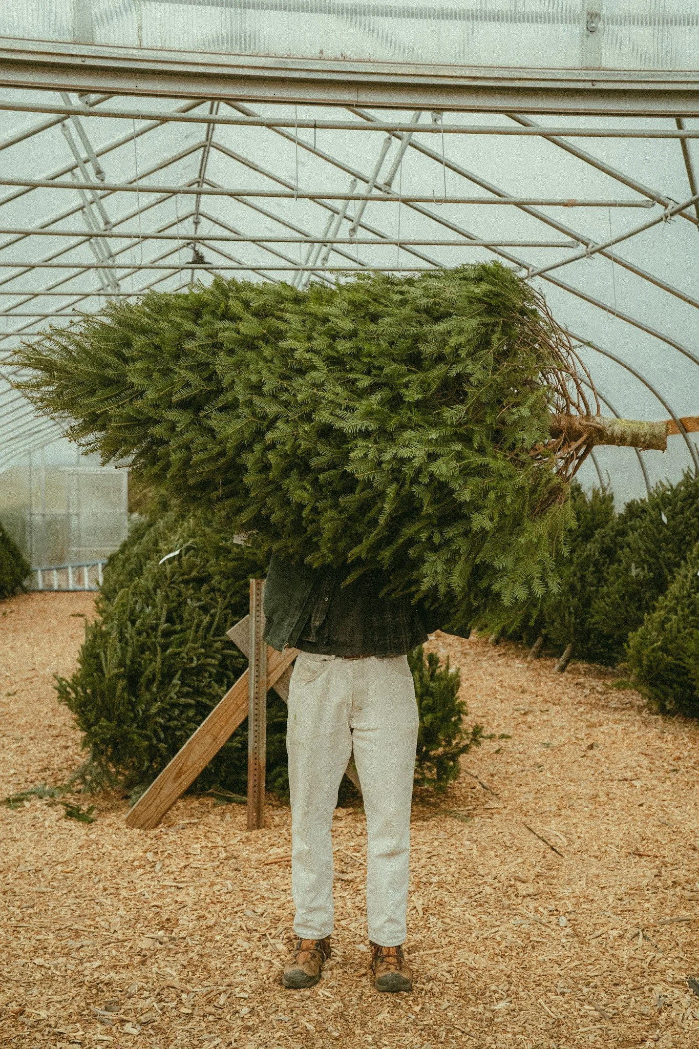 Emery Farm | Marketing & Events