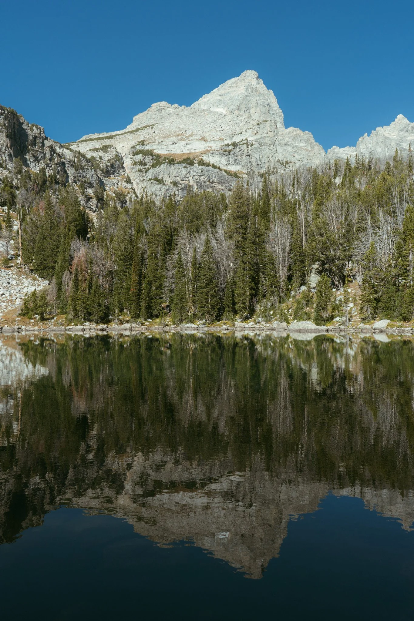 TetonsOctober2026-7.jpg