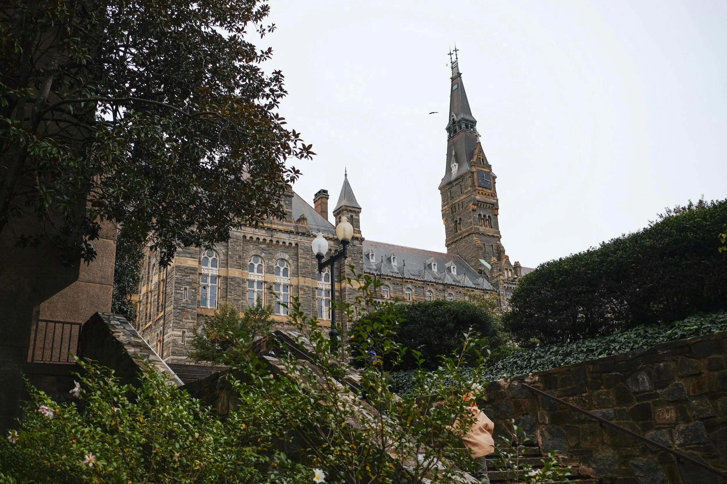Georgetown University