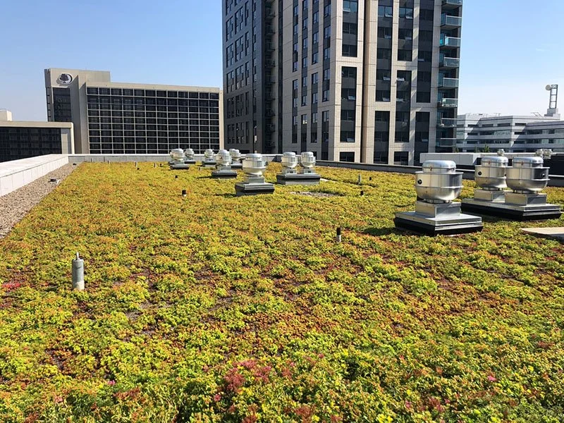 Sustainable Roofing