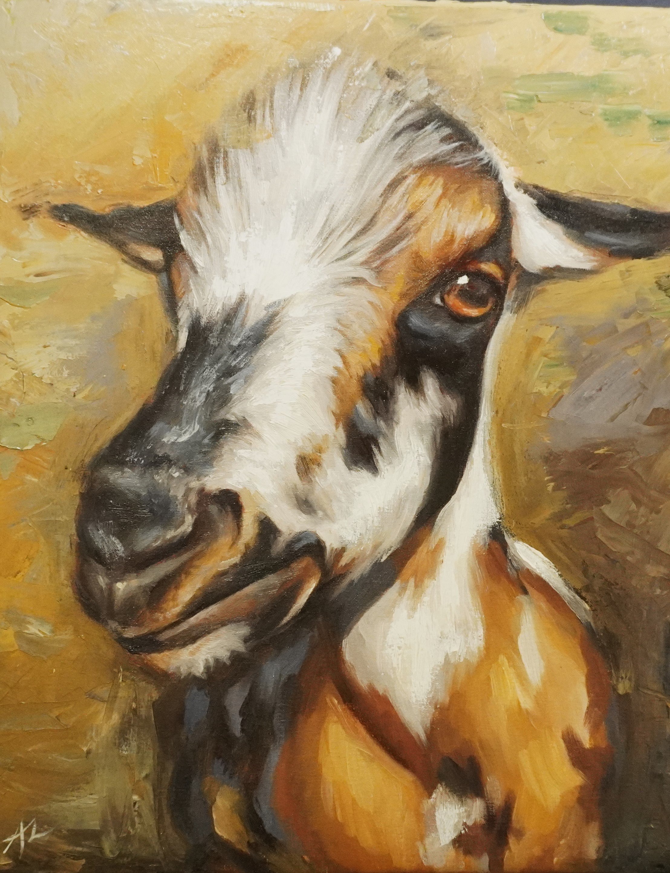 goat.jpg