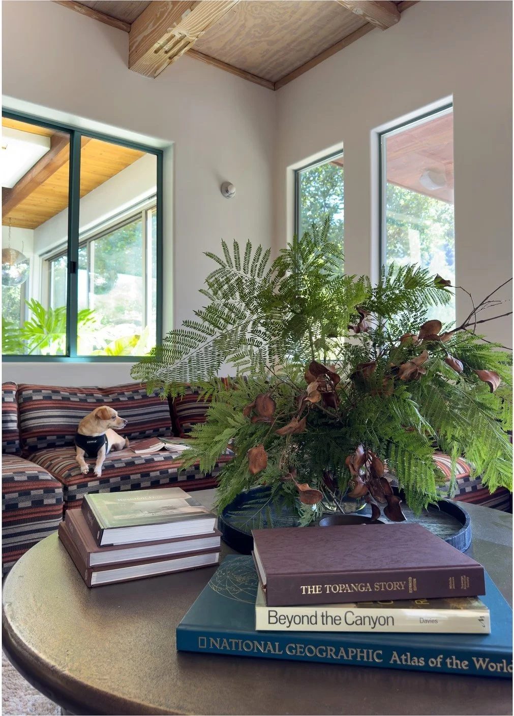 Foliage in a vase on stacked books beside tall living room windows