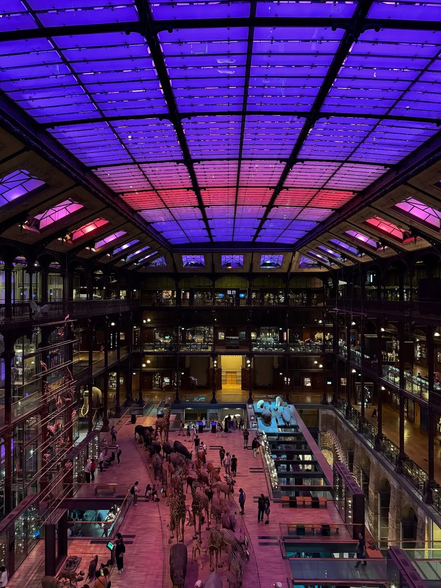 Symmetrical museum hall with dark galleries beneath purple roof panels