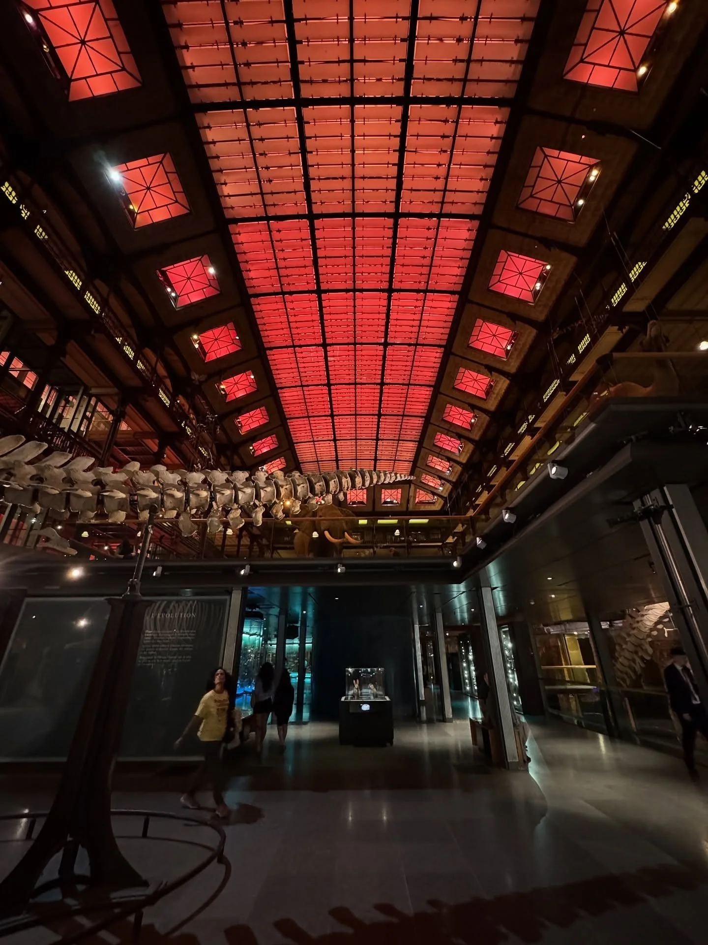 Museum hall beneath a red illuminated glass roof