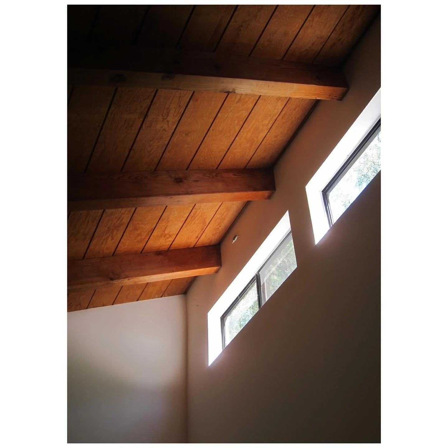 Warm timber ceiling boards and exposed beams above high rectangular windows