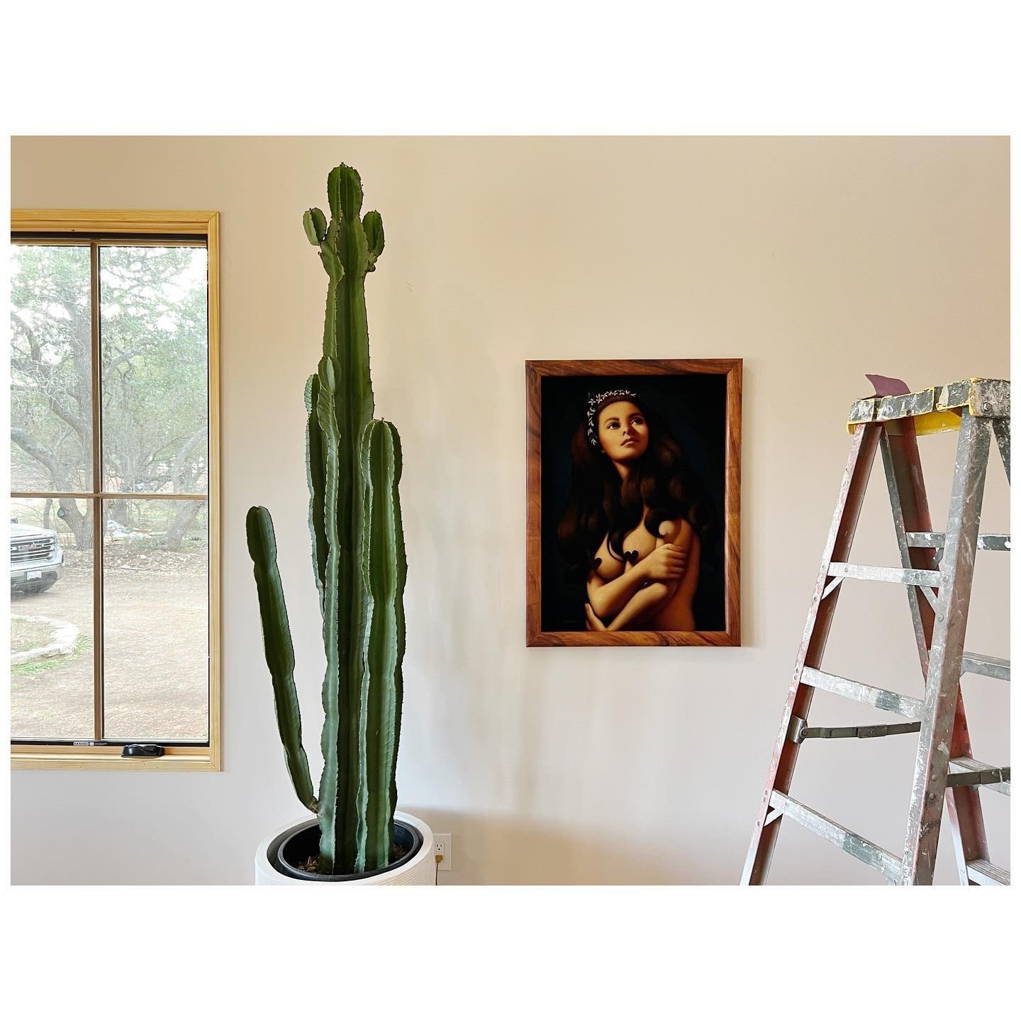 Framed portrait painting beside a tall cactus and timber ladder in a sunlit room