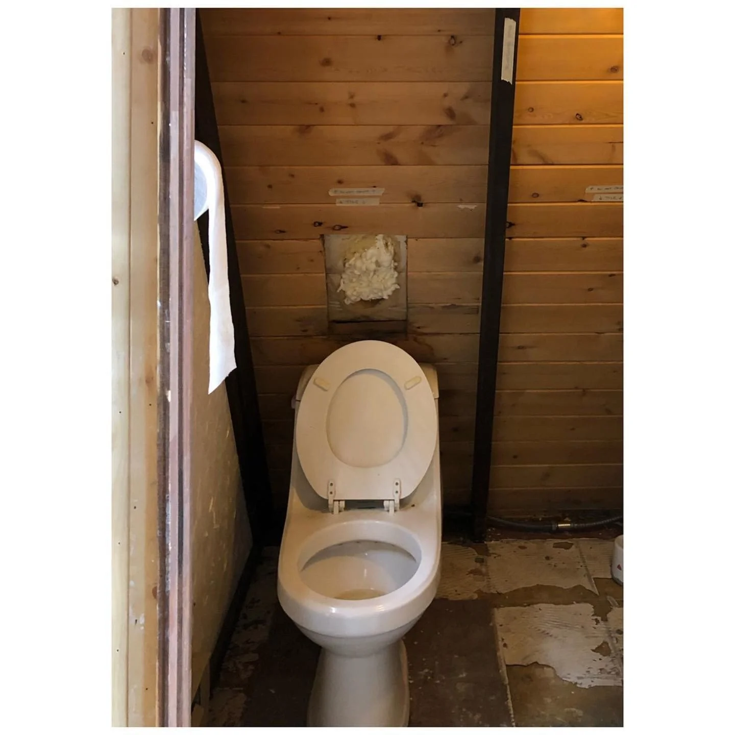 Powder room before renovation with timber-paneled walls and an older toilet