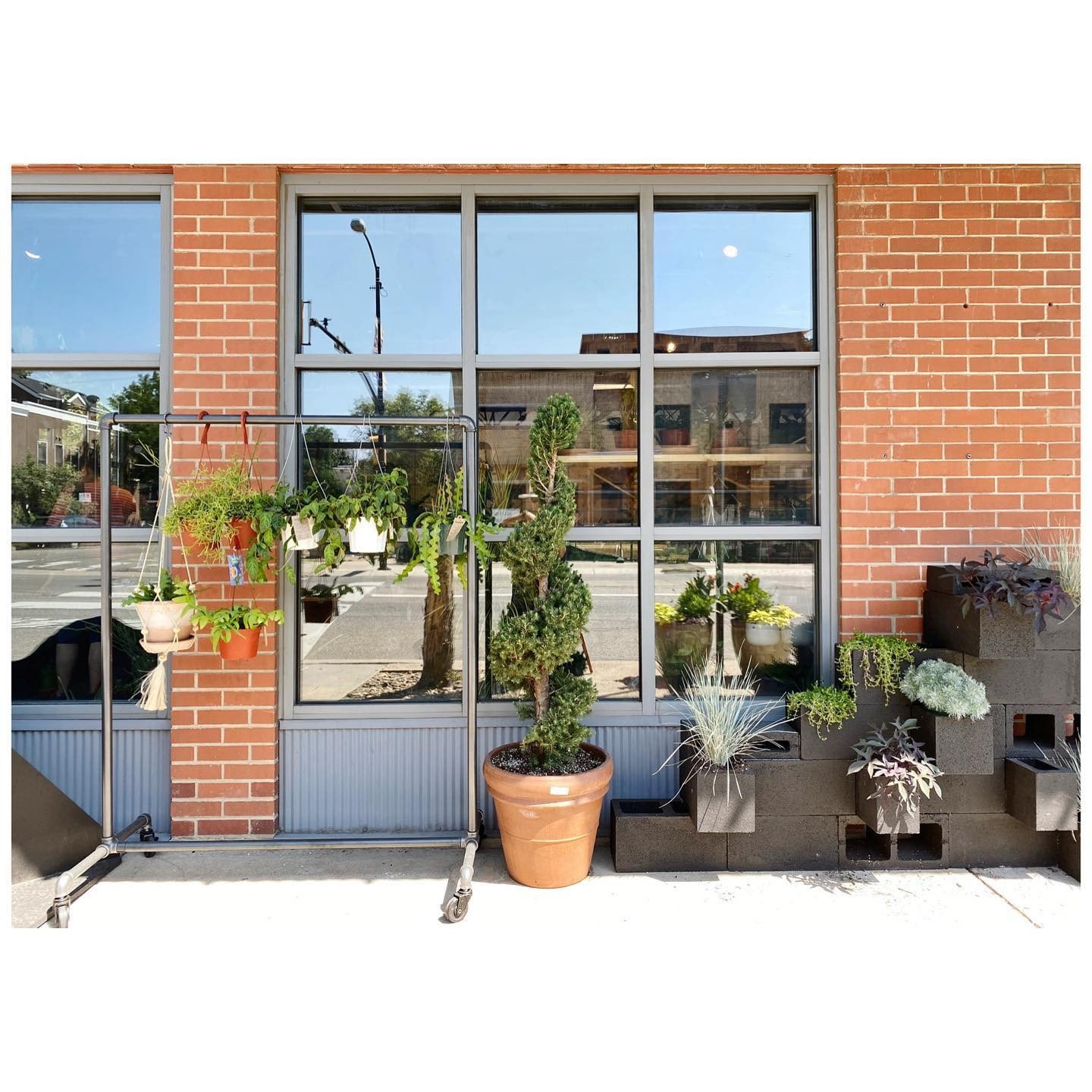 Brick storefront with black-framed glazing and potted plants arranged around the entrance