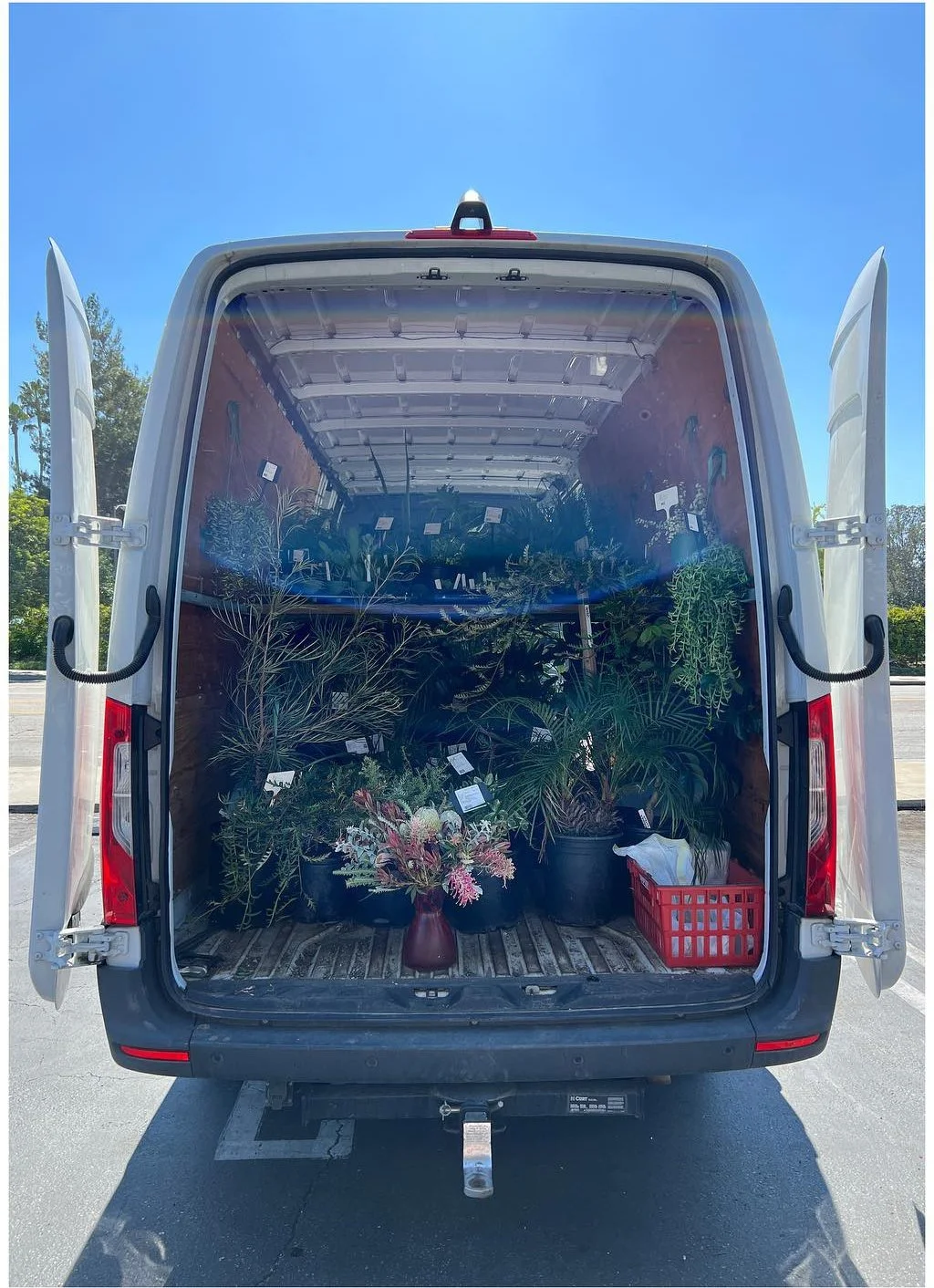 Open delivery van filled with potted plants and foliage