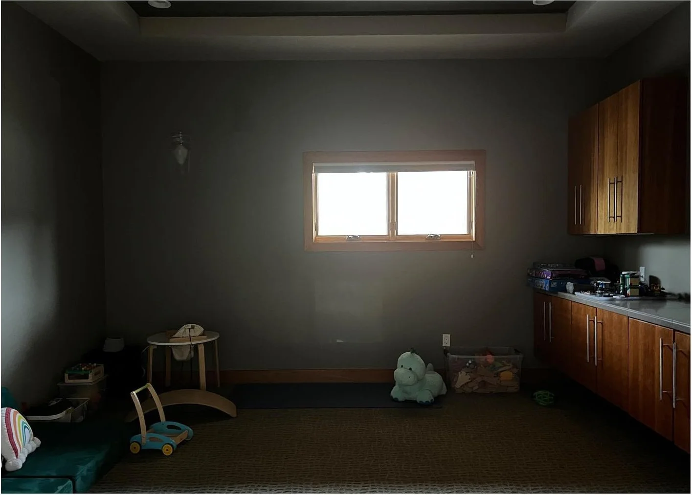 Original media room with dark walls wood cabinetry and carpet