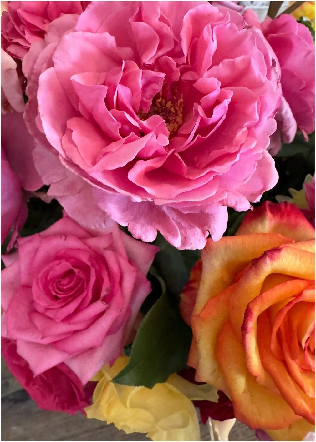 Close-up of pink and yellow roses in an arrangement