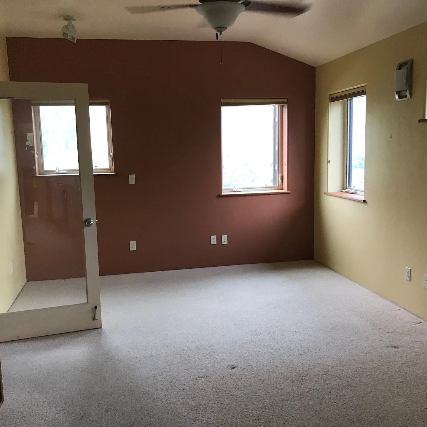 Original bedroom with brown walls and pale carpet