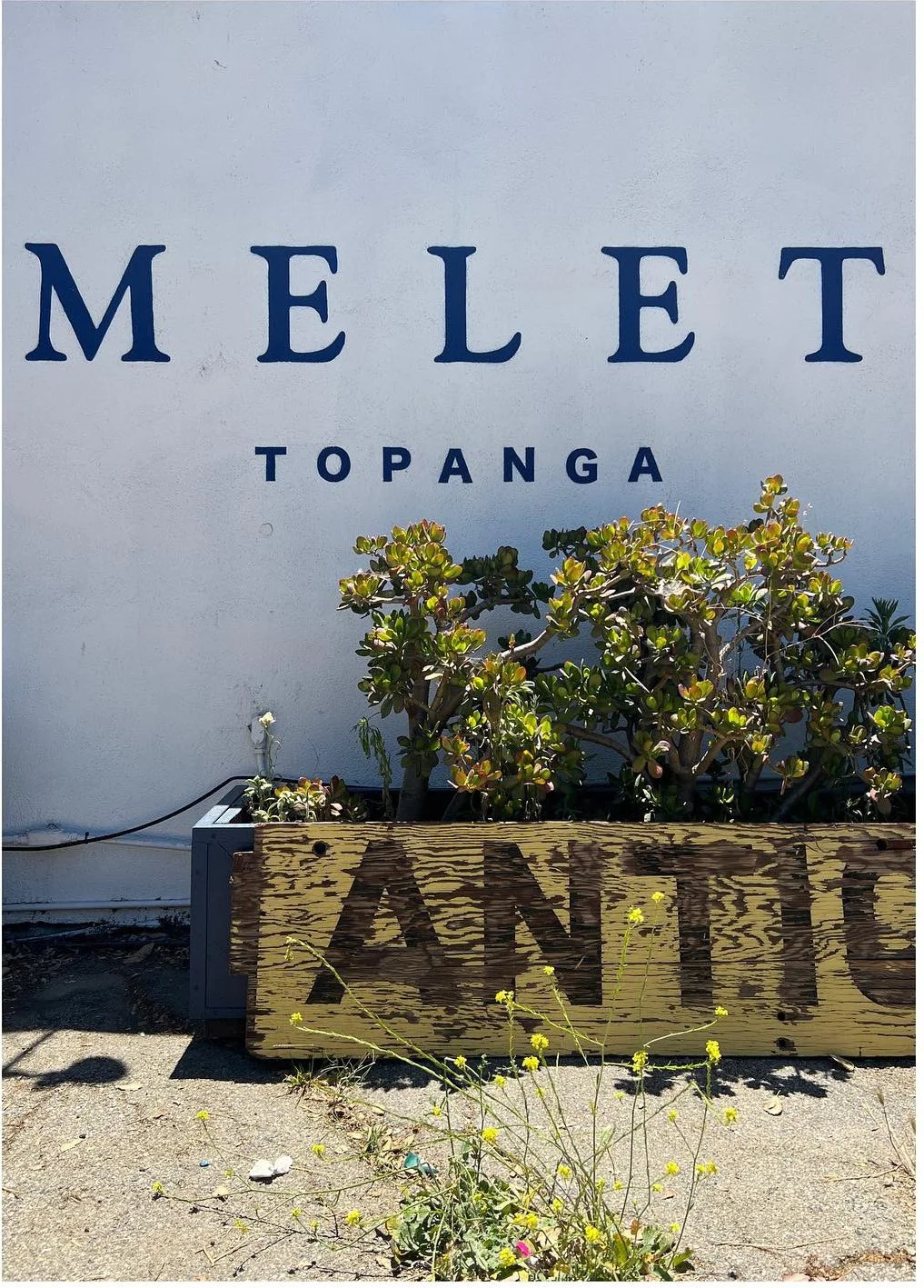 Melet Topanga shop sign above flowering plants and an antique sign