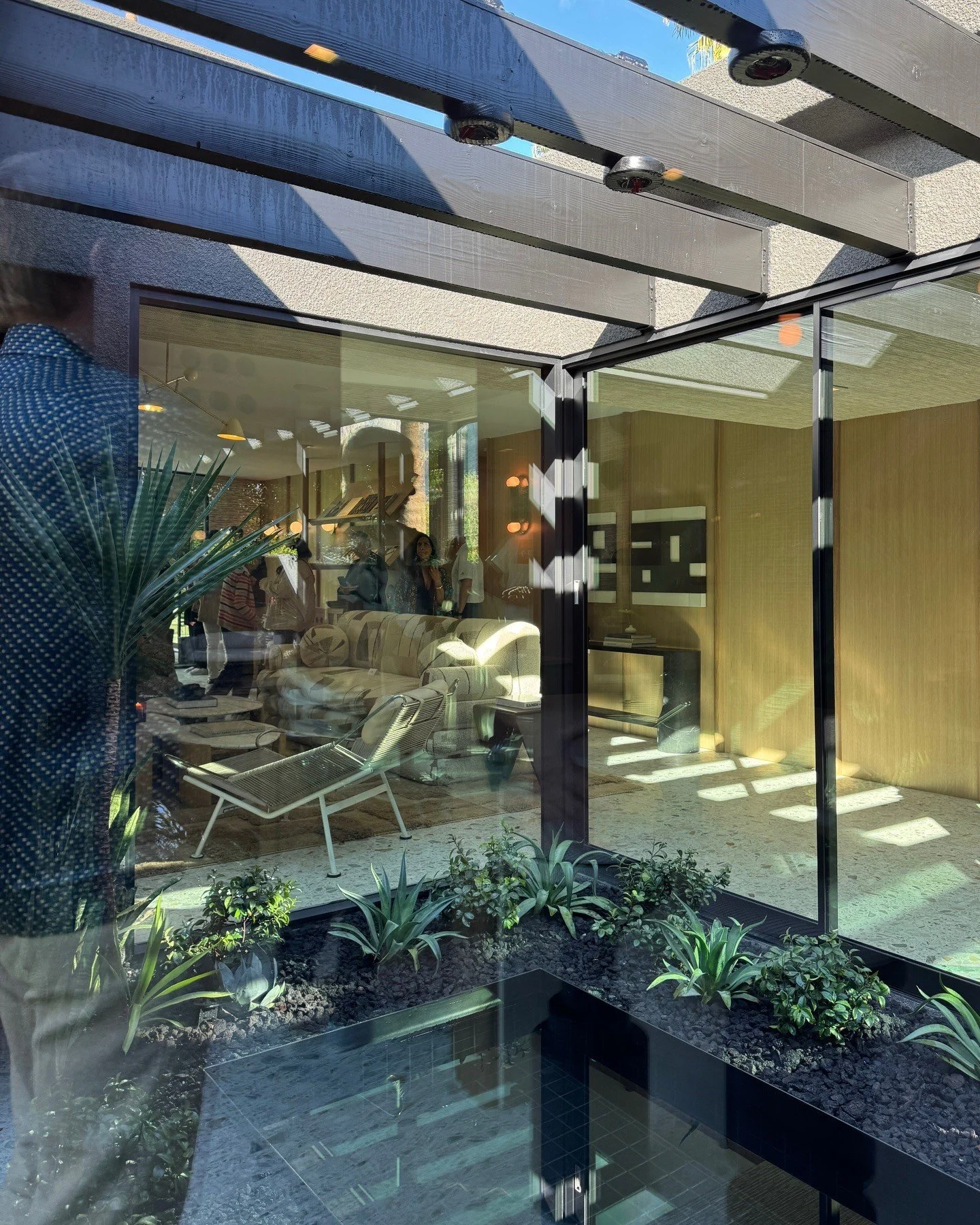 Glass entry beneath a slatted canopy with leafy planting