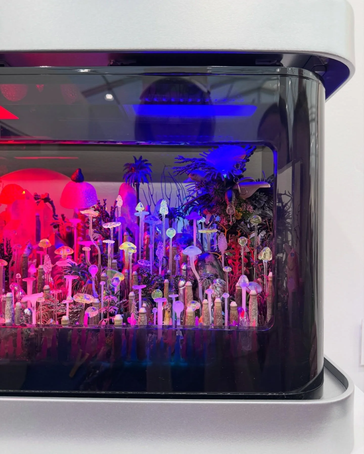 Illuminated miniature installation behind a curved glass window