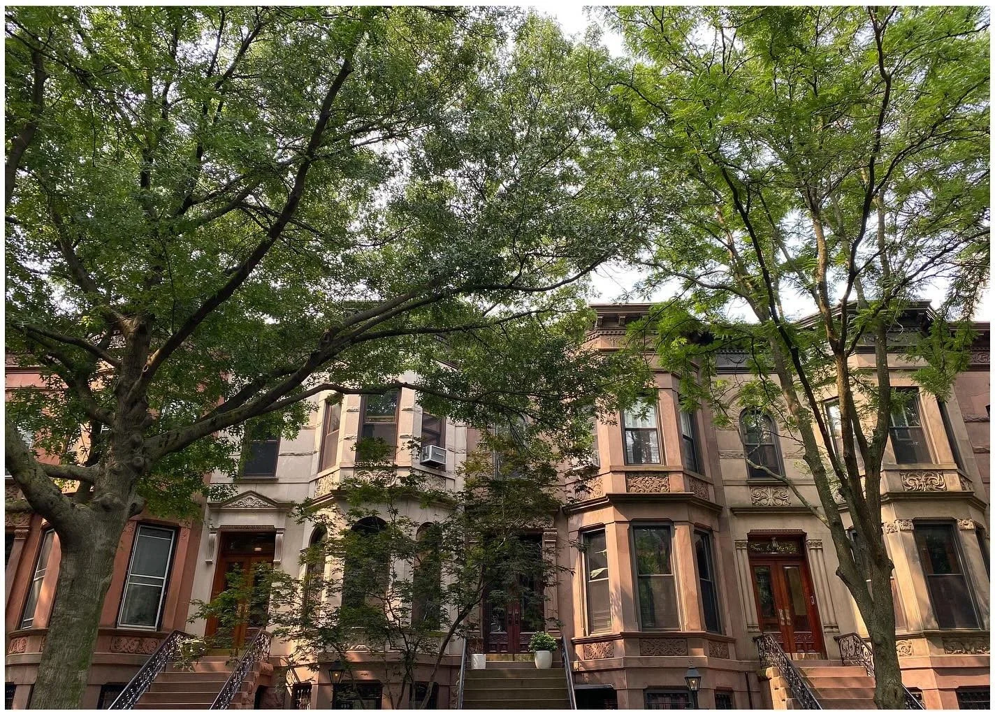 Historic brownstone facades shaded by leafy trees