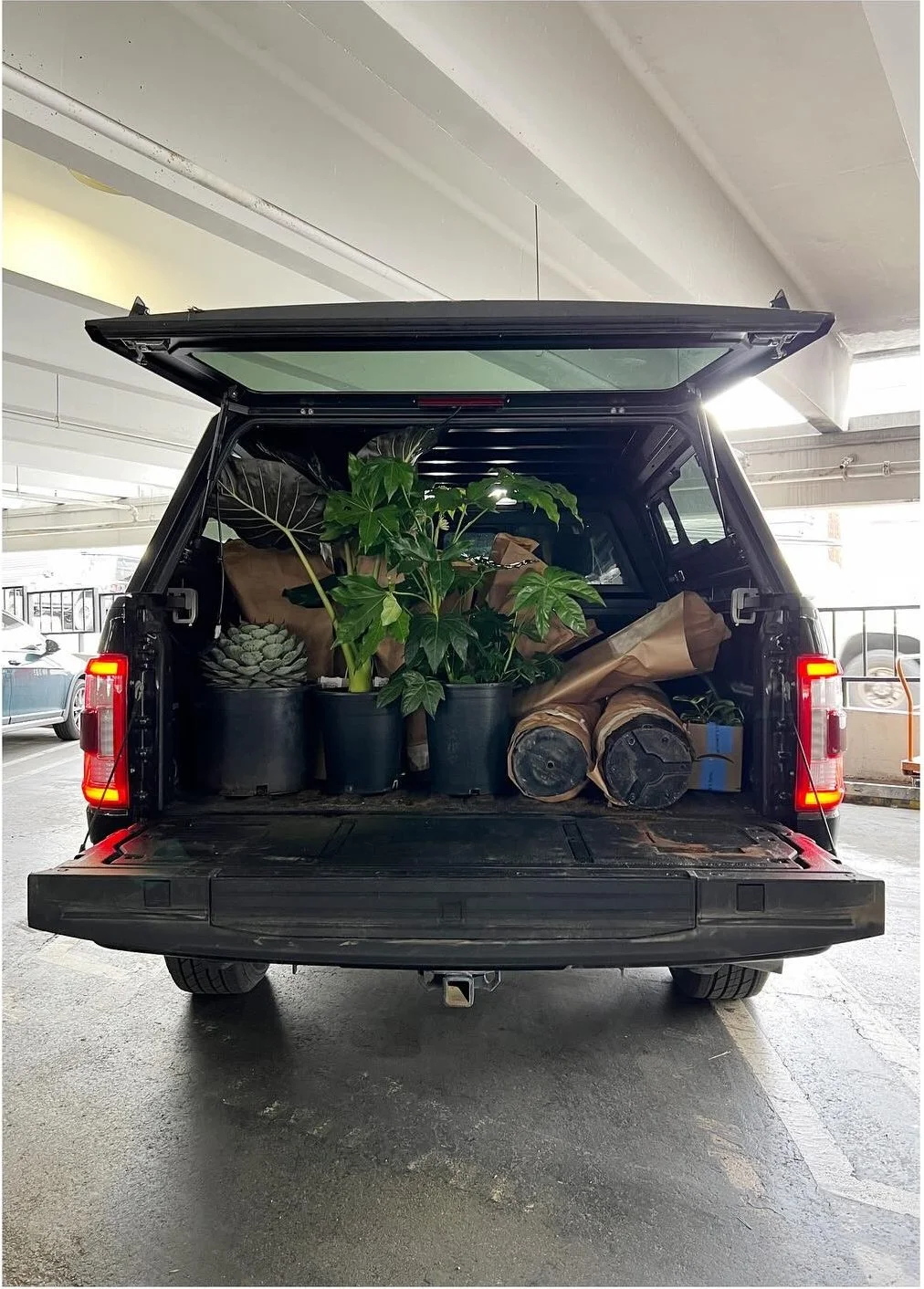 Vehicle filled with potted plants and gardening supplies