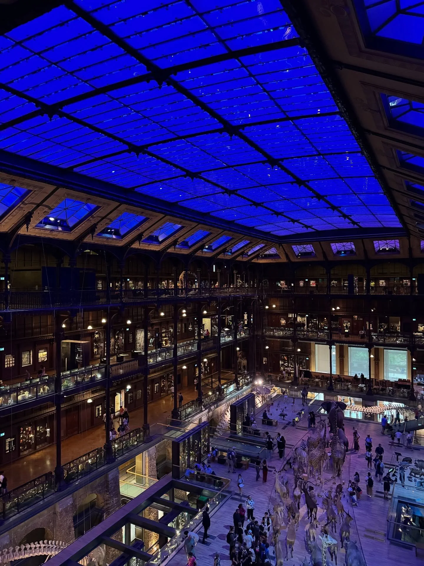 Balconies surrounding a museum hall under a blue glazed ceiling