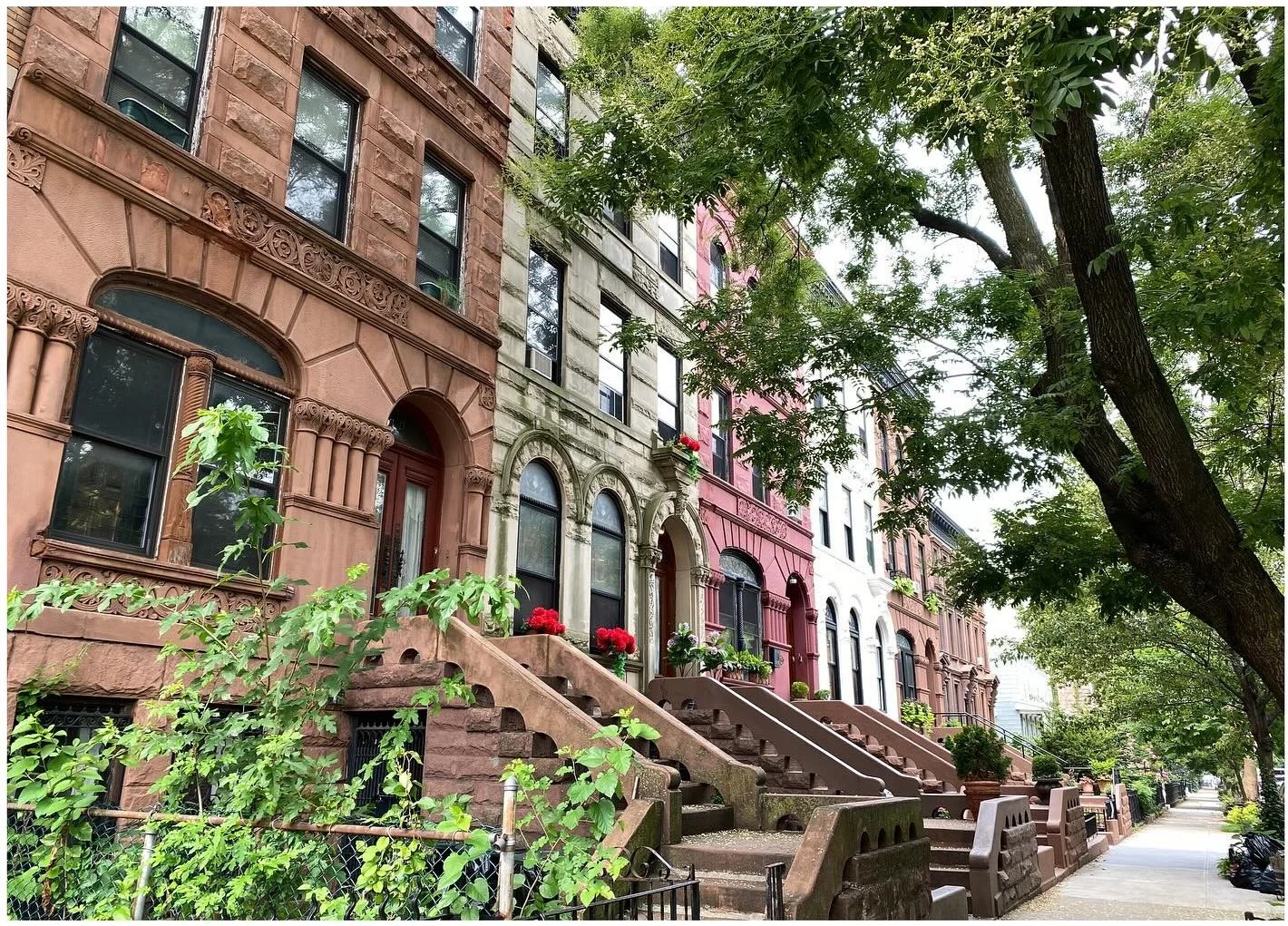 Tree-lined street of brownstones with raised entrance stoops