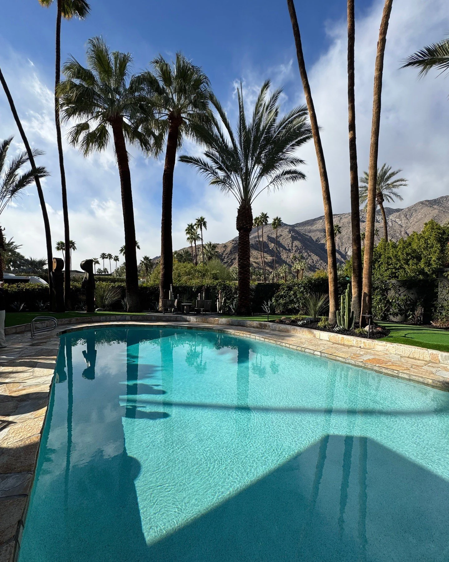 Swimming pool framed by palms and mountain views