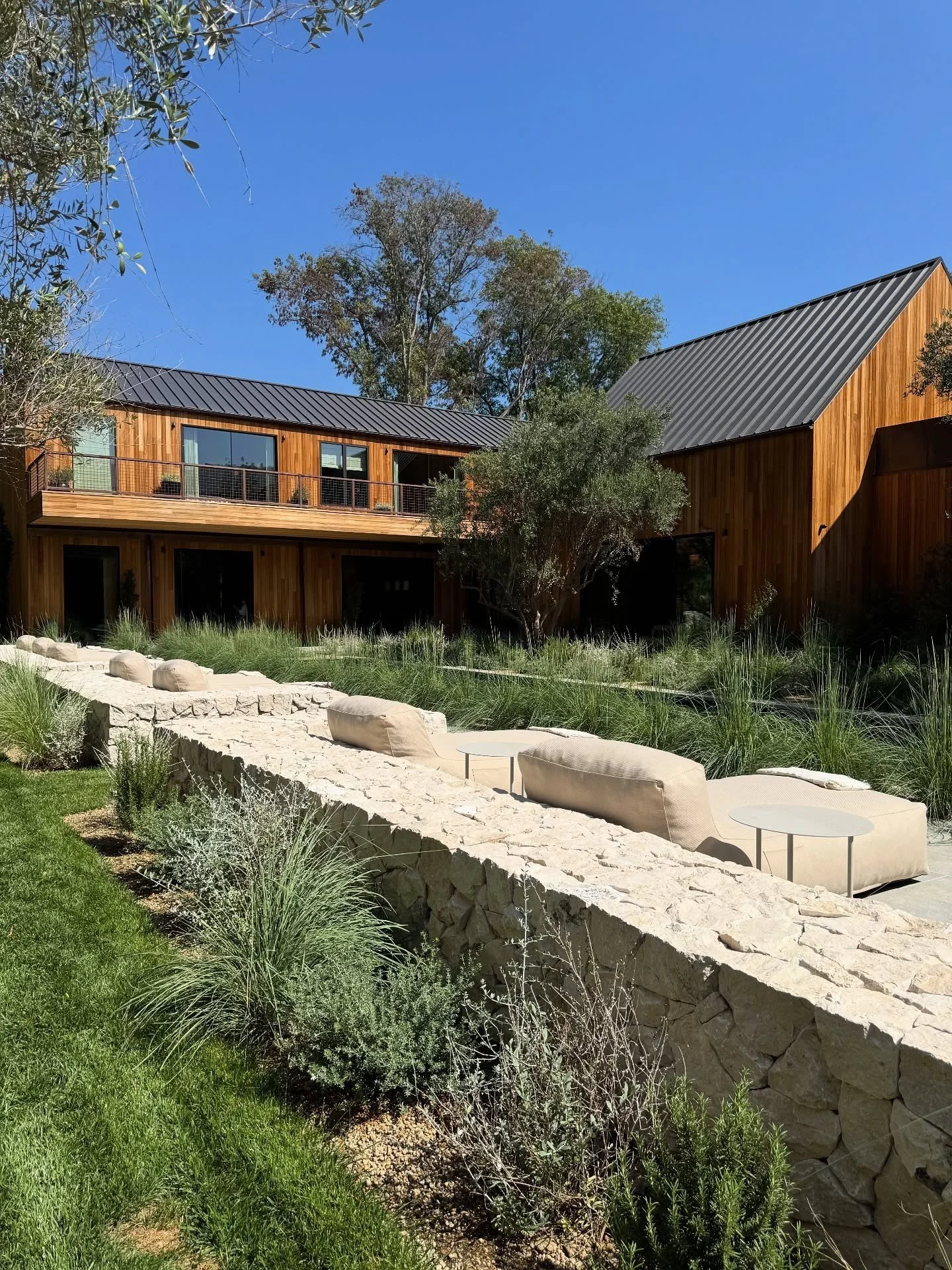 Contemporary wood-clad house set among drought-tolerant planting