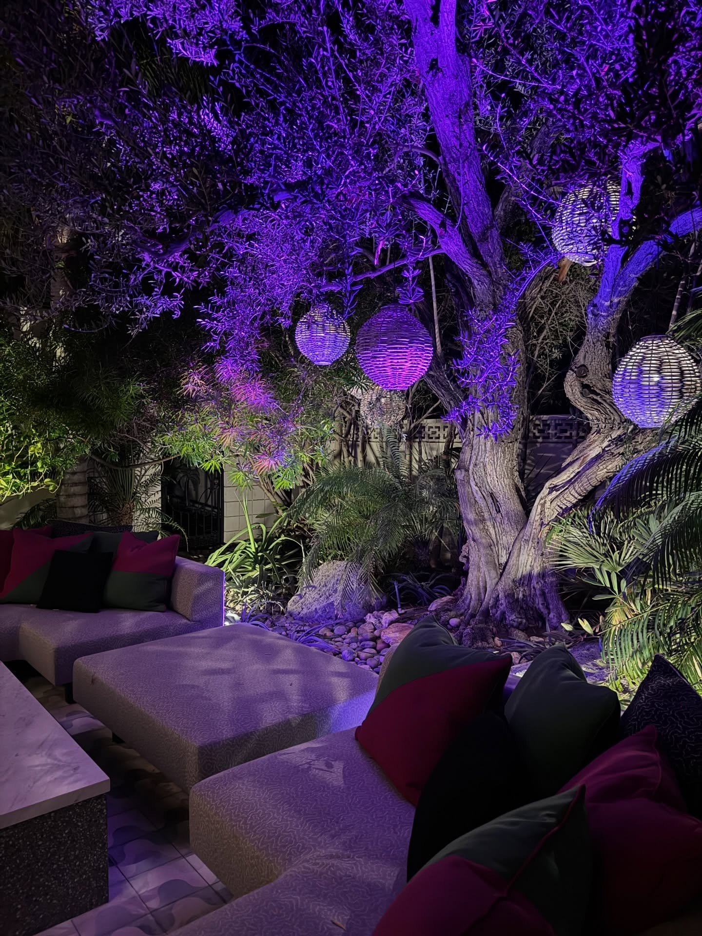 Outdoor lounge beneath purple-lit trees with hanging lanterns