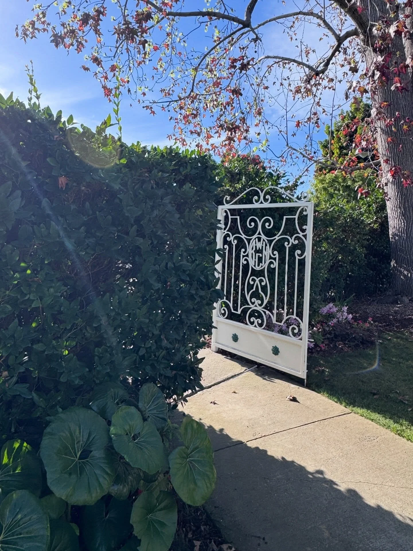 Decorative white garden gate framed by dense greenery
