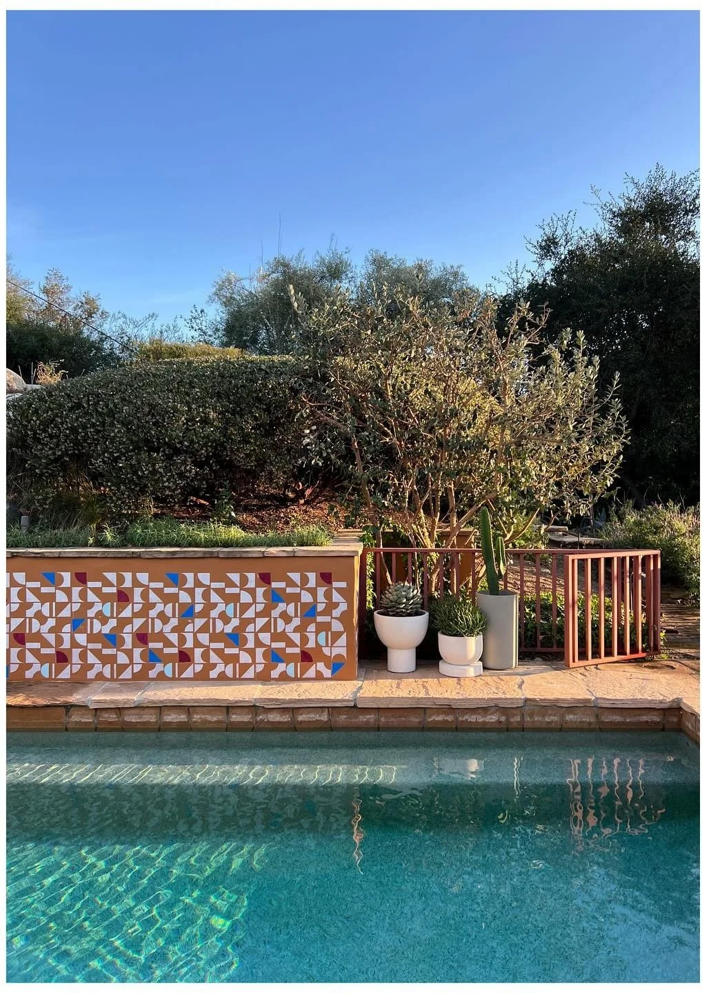 Pool edge with patterned tile and potted Mediterranean plants