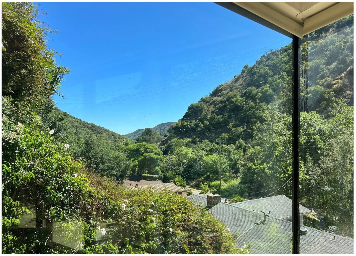 View through floor-to-ceiling glazing toward a sunlit wooded canyon
