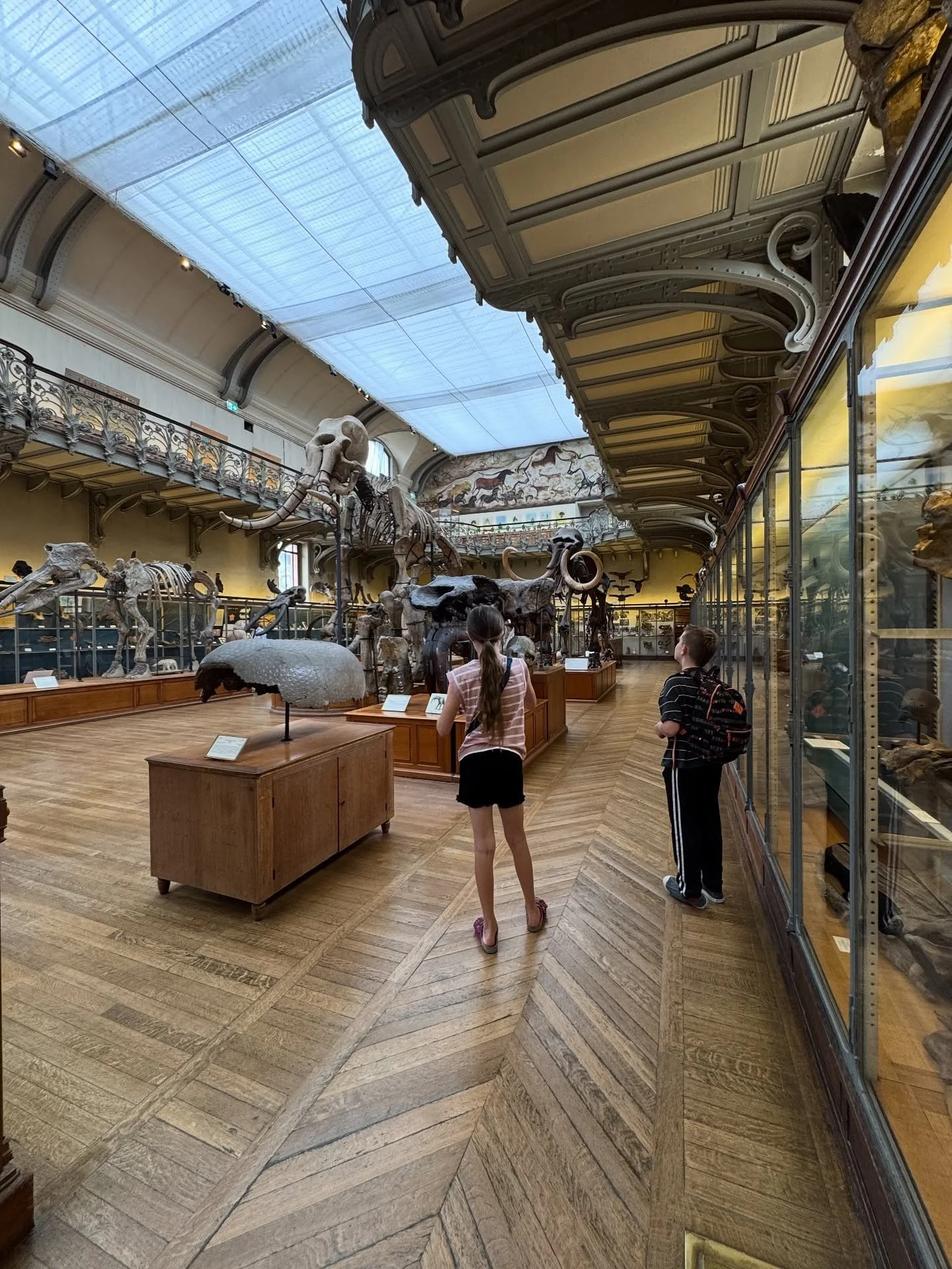 Natural history gallery with specimens and broad skylights