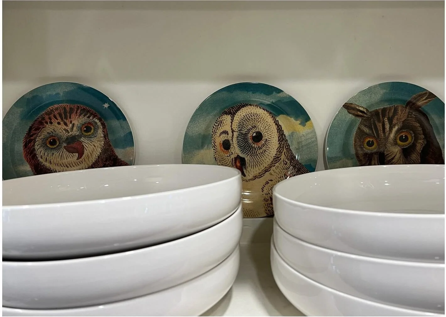 White bowls displayed in front of decorative ceramic plates