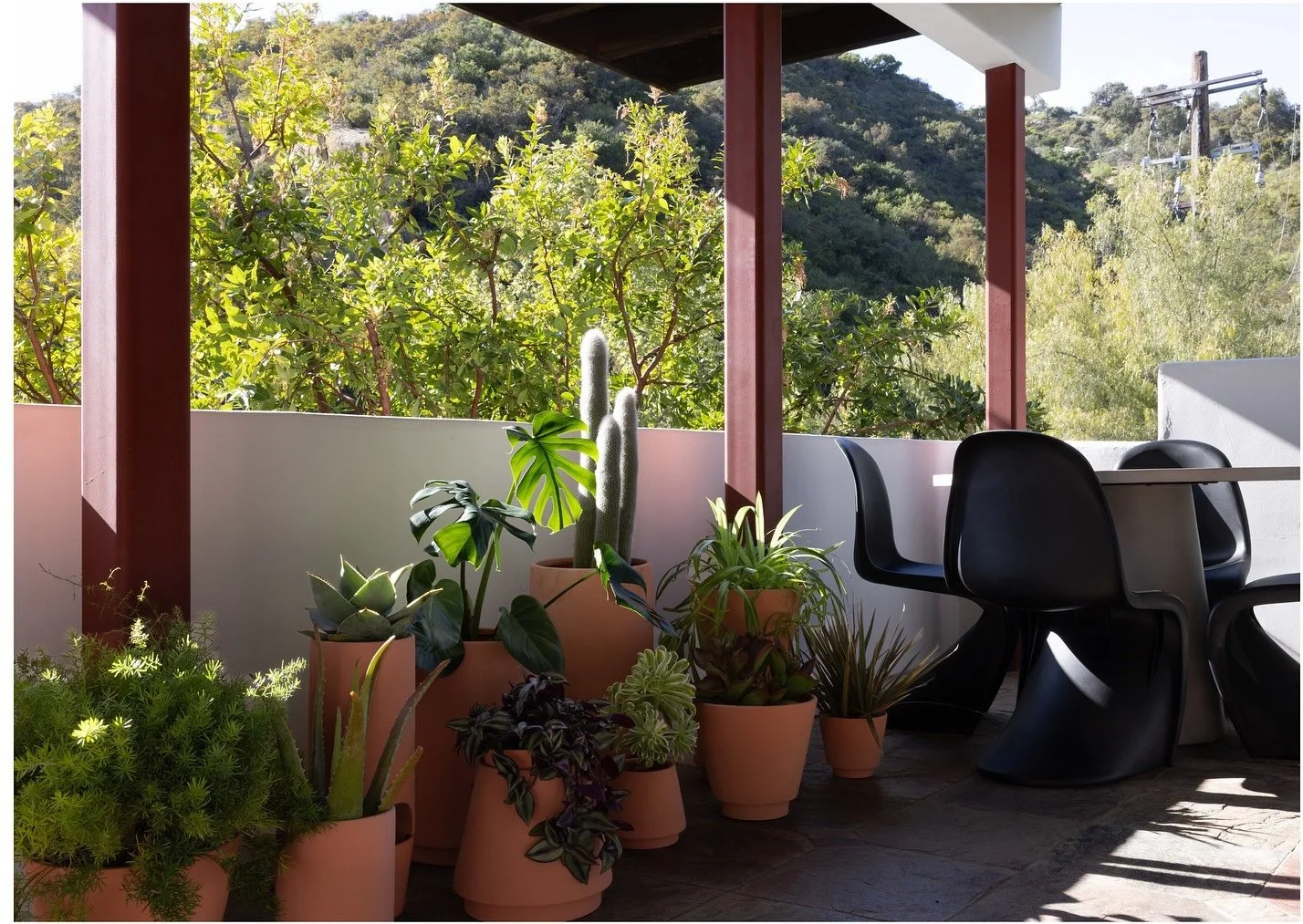 Potted plants and black sculptural chairs on a sunny terrace