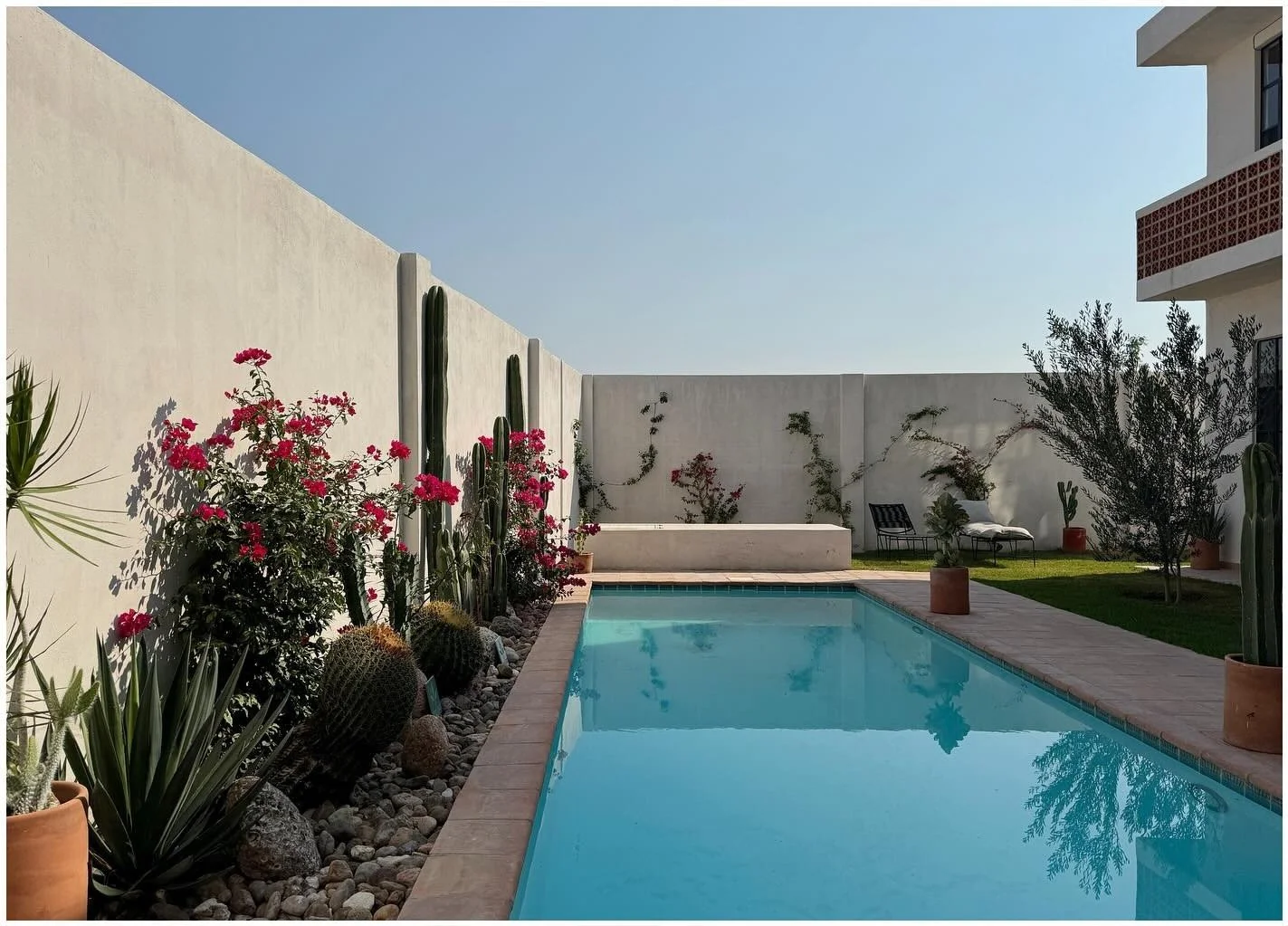 Narrow courtyard pool with cacti and flowering plants