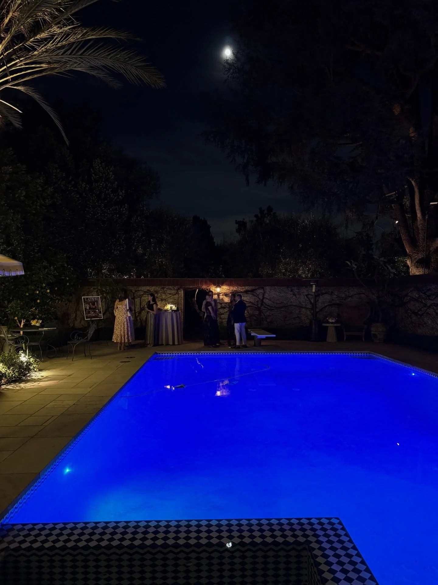 Blue-lit swimming pool beneath palm trees at night