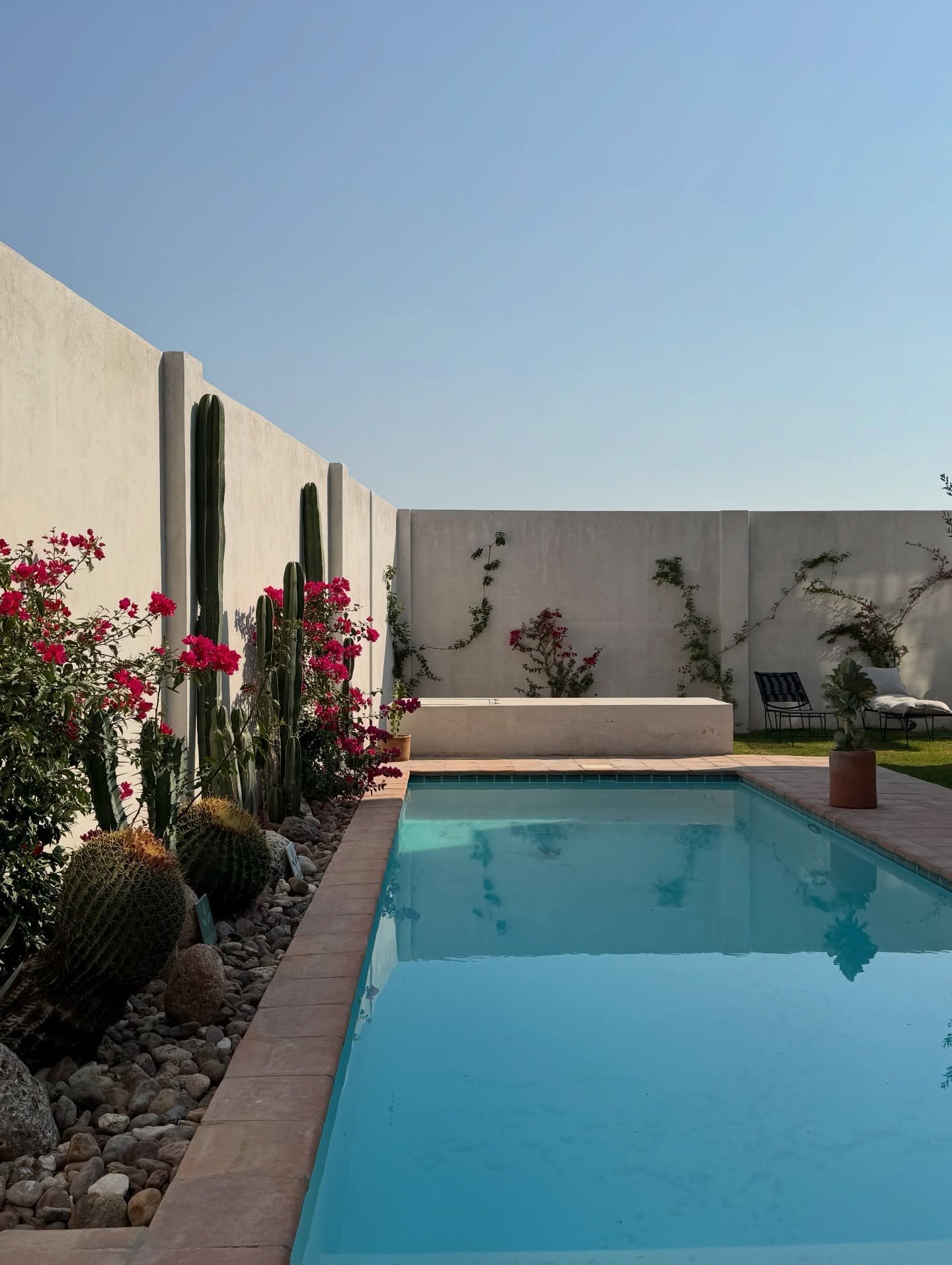 Courtyard pool beside a white wall and flowering plants