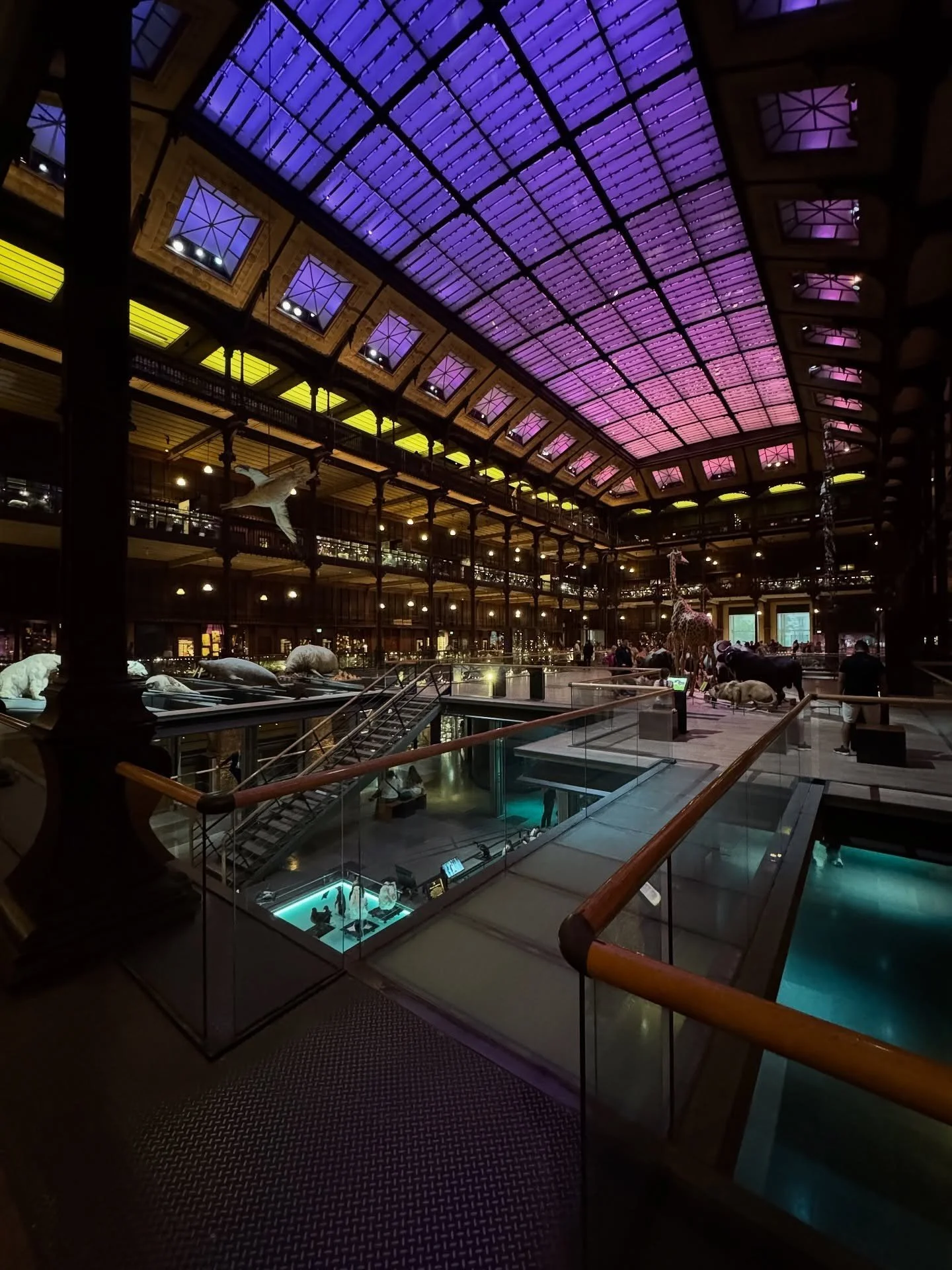 Museum display cases beneath a multicolored illuminated roof
