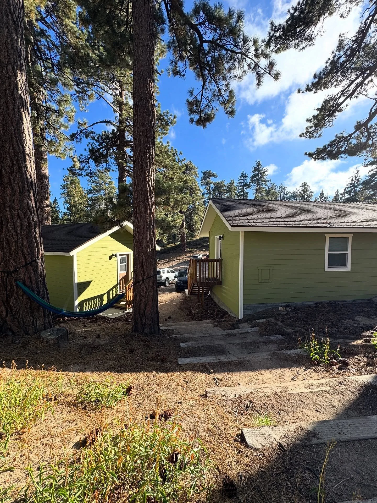 Green cabin among tall pine trees at a wooded camp