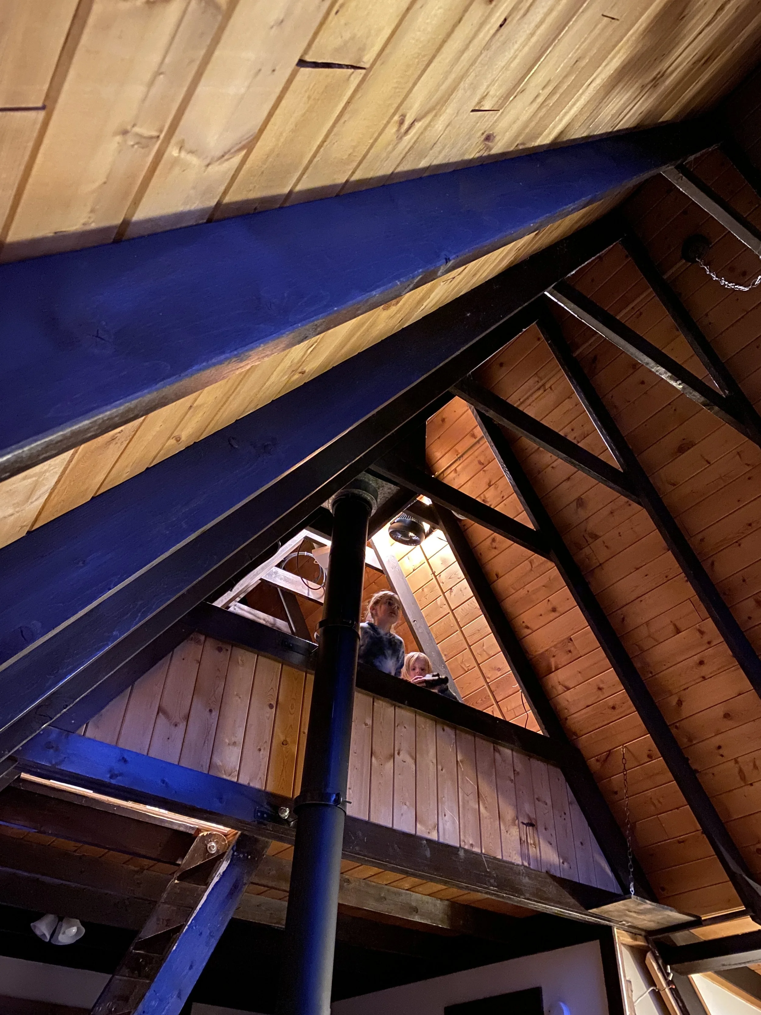 Exposed timber ceiling and steel framing during construction.