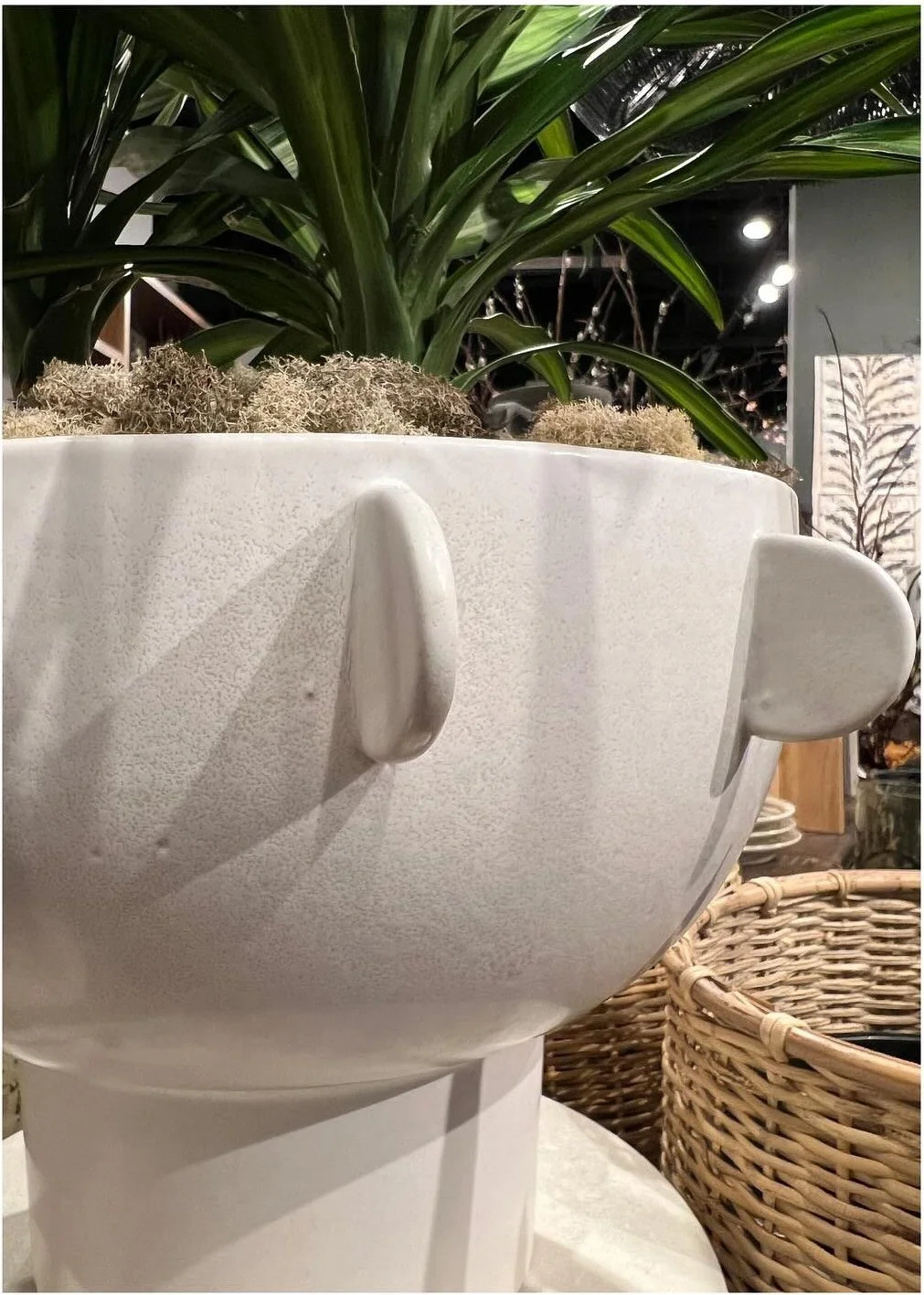 White sculptural planter with curved fins among leafy plants