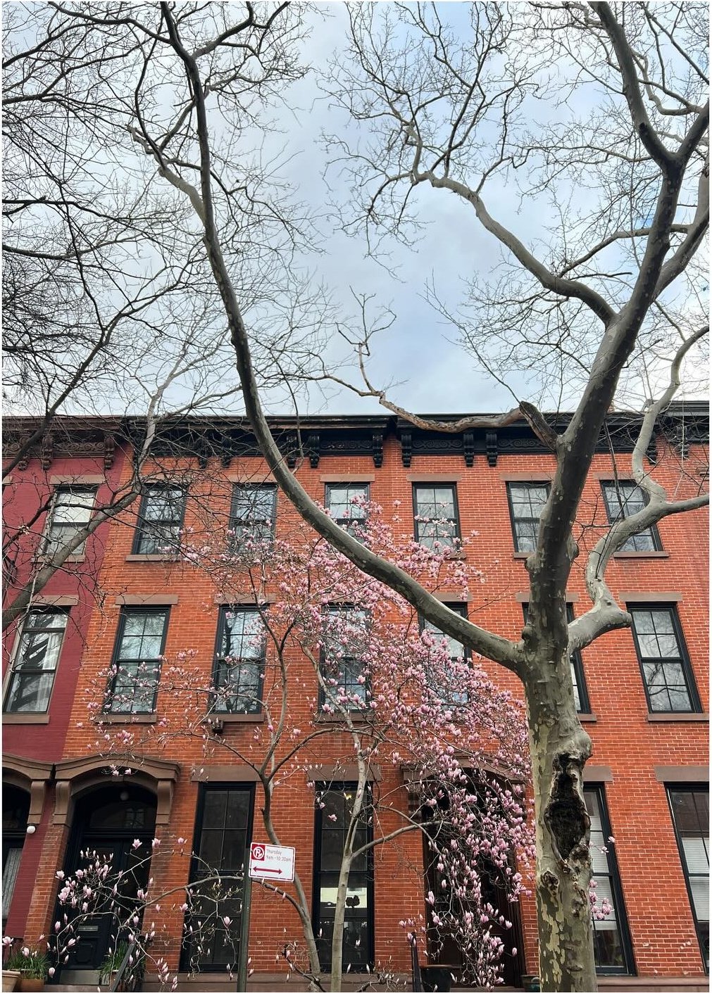 Red brick brownstones behind bare street trees