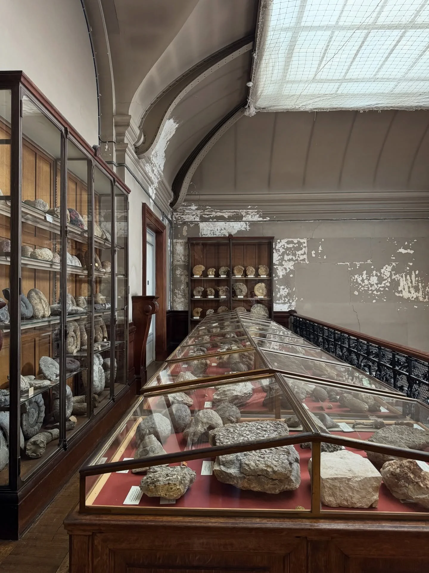 Long glass specimen cases under a pitched skylight
