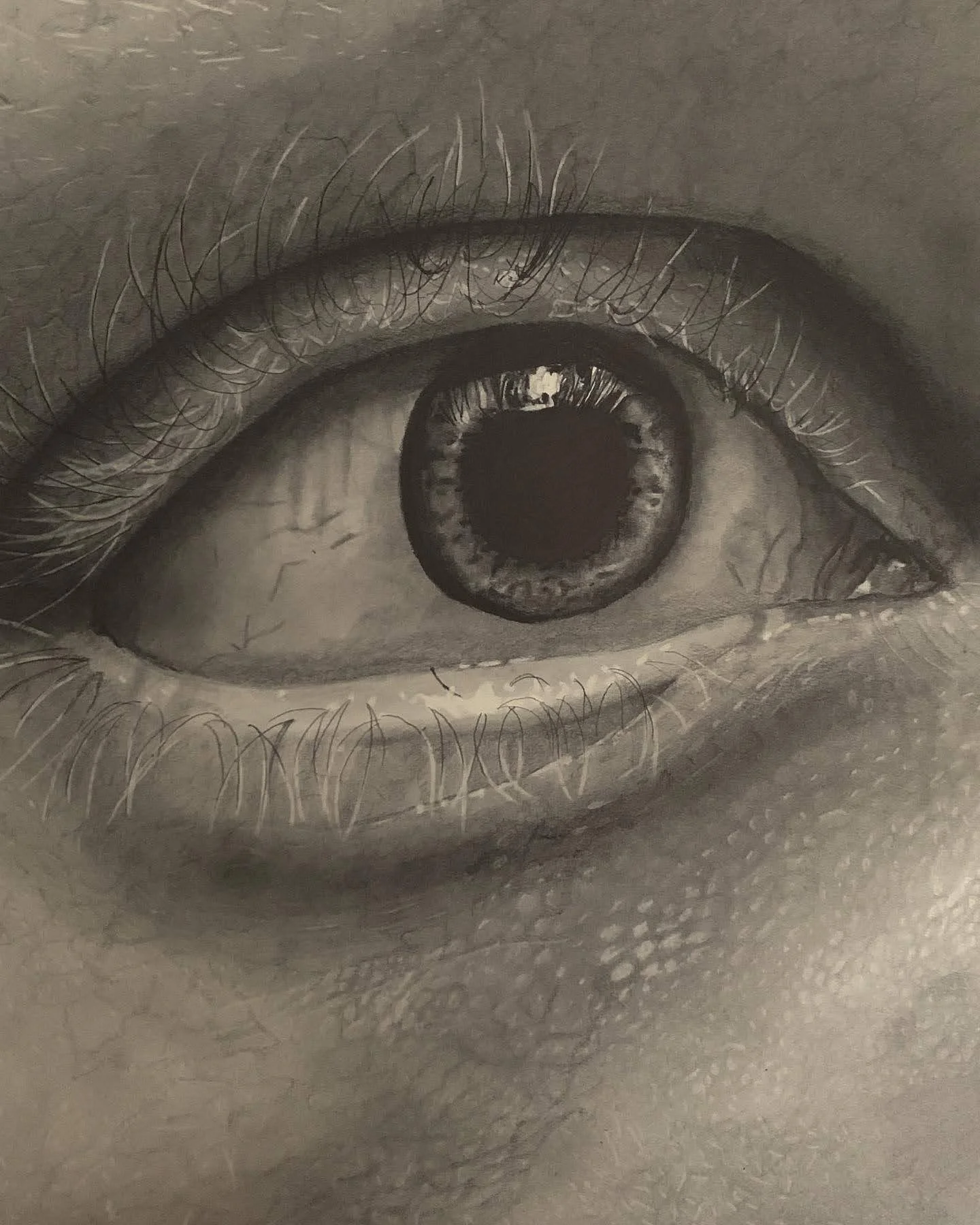 bigeye.jpg