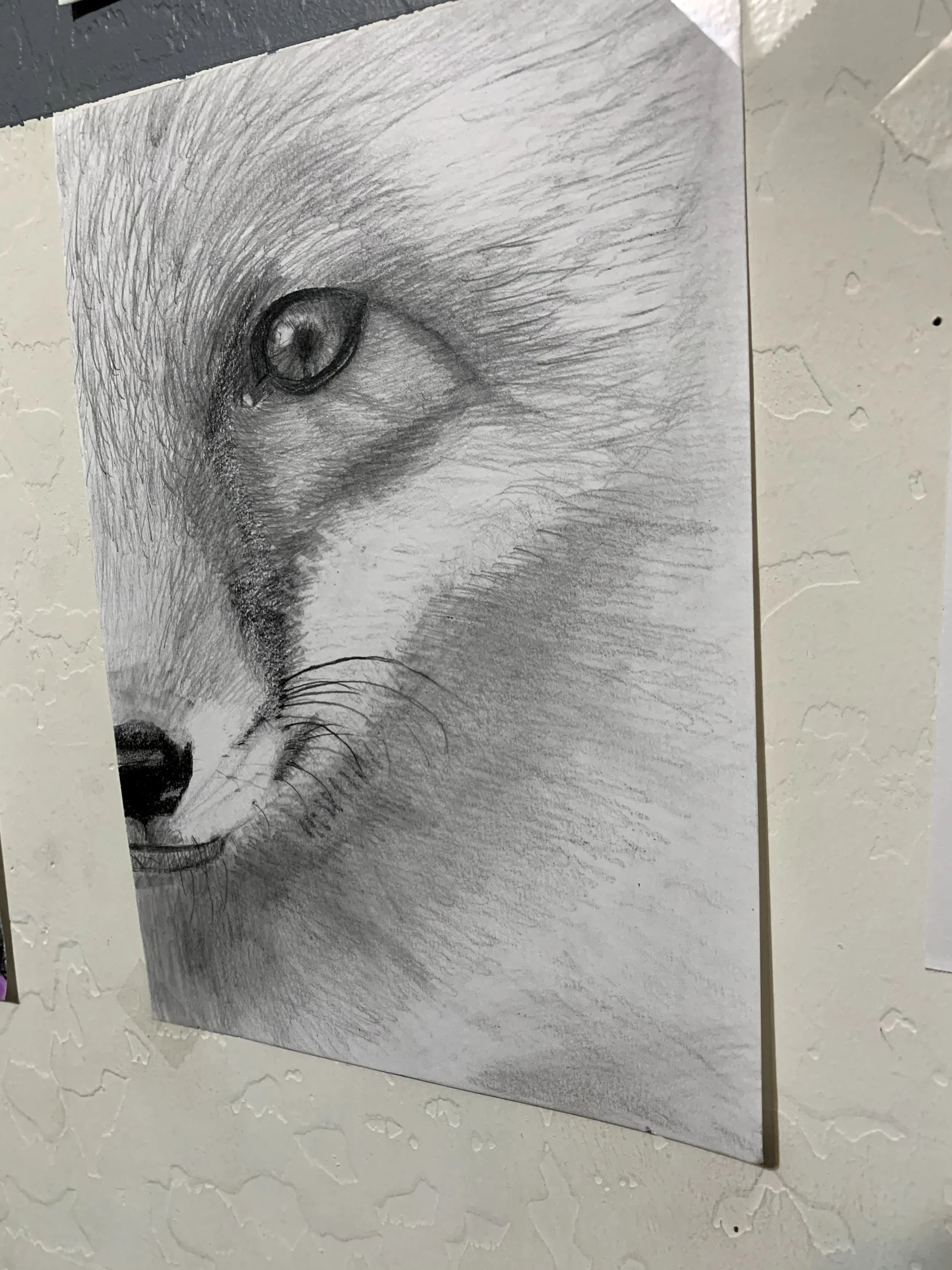 foxy.jpg