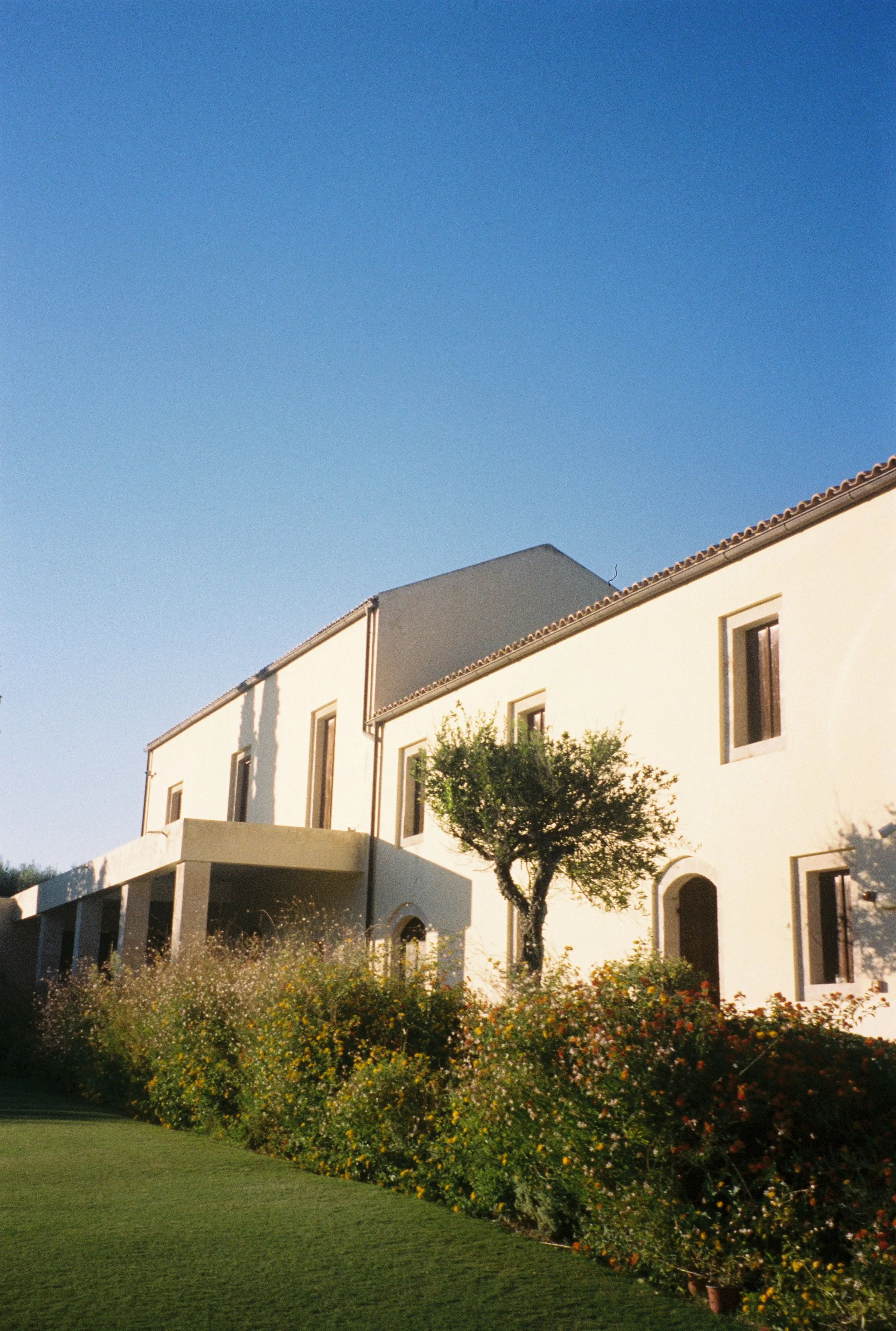 19755_003.jpg