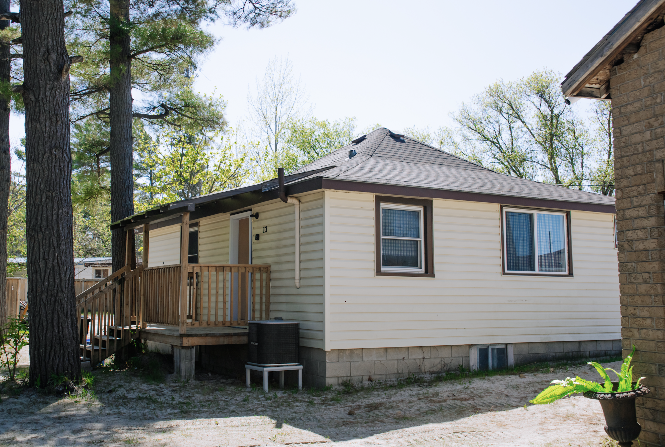 Small cream-colored house with a wooden porch, gray shingle roof, and blue-curtained windows surrounded by tall pine trees.