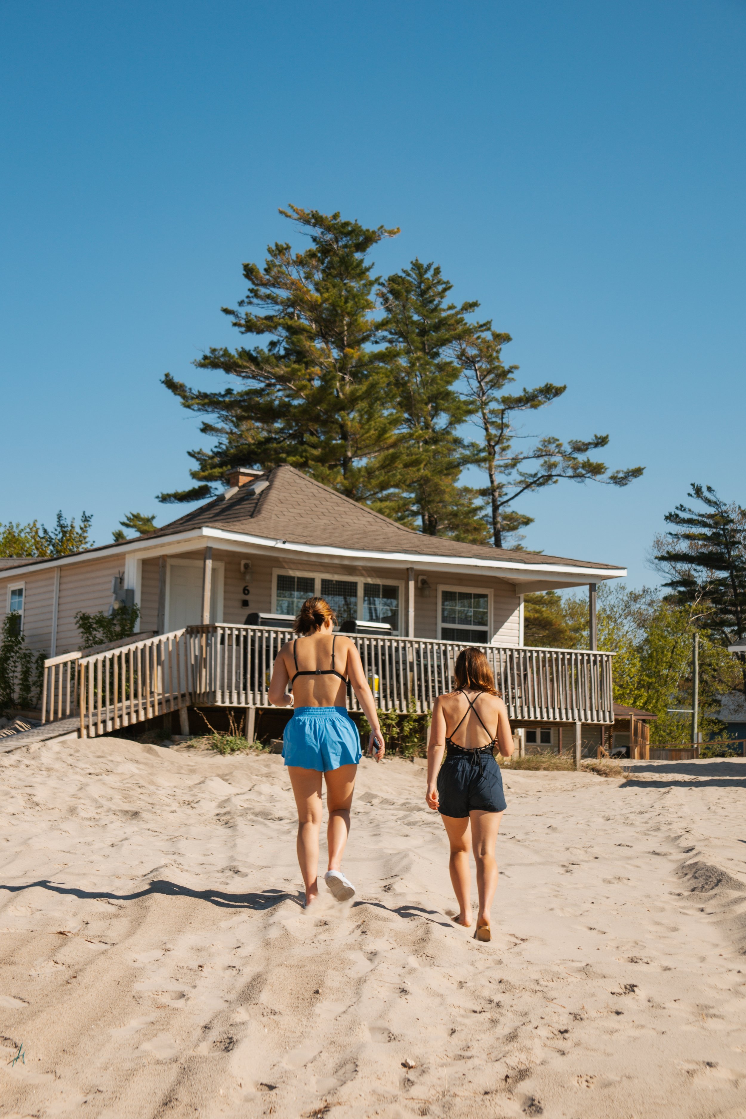 Two women walk across sandy ground toward a beach house beneath tall pine trees on a sunny day.